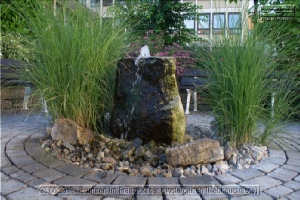 Brunnen im Franziskaner Klostergarten